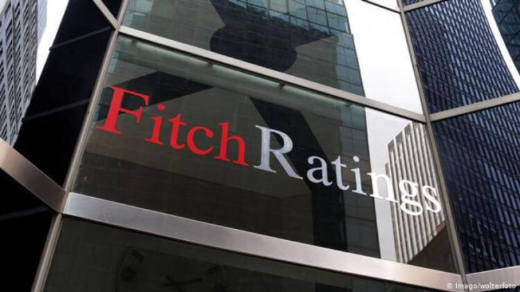 Fitch: Küresel gıda enflasyonu düşebilir