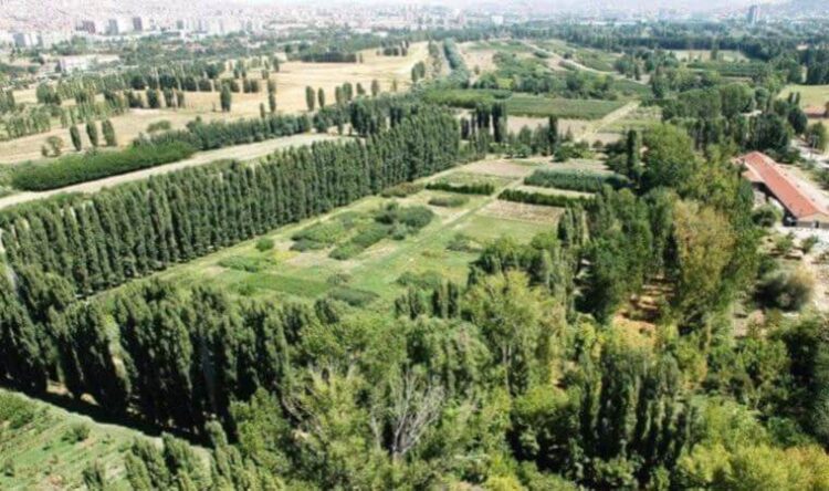Atatürk’ün vasiyetine ihanet! STK’lerden suç duyurusu