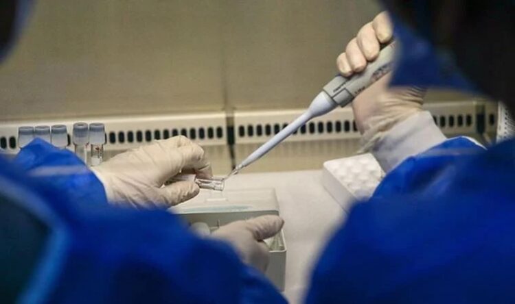 Maymun çiçeğine yakalandı, 3 günde burnu çürüdü