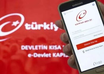 e-Devlet’te yeni hizmet