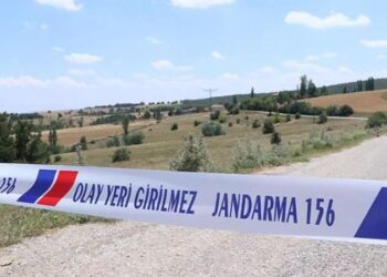 Kuduz tespit edildi, köy karantinaya alındı