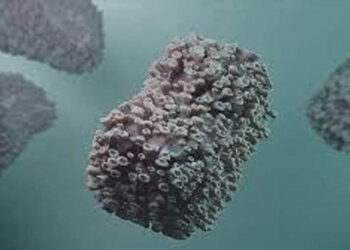 Kaliforniya’da maymun çiçeği nedeniyle OHAL ilan edildi