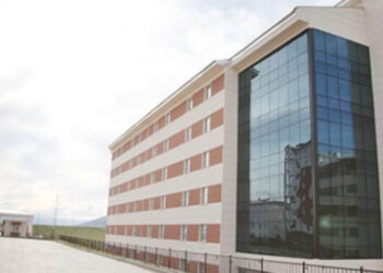 Eski Bakan’ın kardeşi de işin içinde: ‘Yüzlerce kız çocuğu ölebilir’