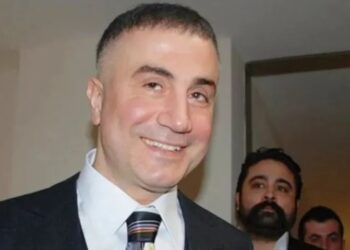 Selçuk Özdağ: Peker’in söyledikleri devede tüy