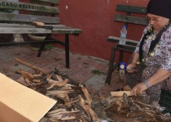 Aydınlı yurttaş: ‘Kalorifer kömürü pahalı, mecburen soba yakacağız’