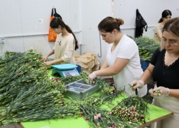 Kraliçe 2. Elizabeth’in cenazesine Türkiye’den 1,5 milyon karanfil