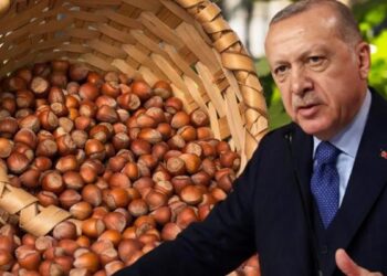 Fındık tekeli kendi fiyatını açıkladı, Erdoğan görmezden geldi!