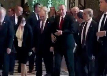 İkili görüşme öncesi Erdoğan ve Putin kol kola yürüdü