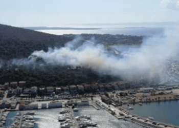 İzmir Çeşme’de orman yangını