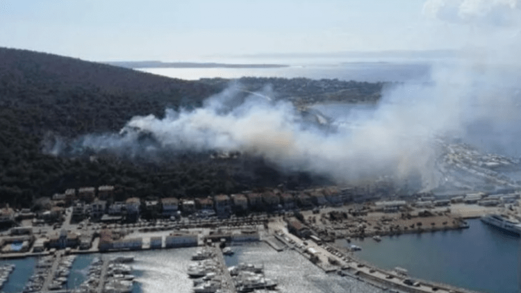 İzmir Çeşme’de orman yangını