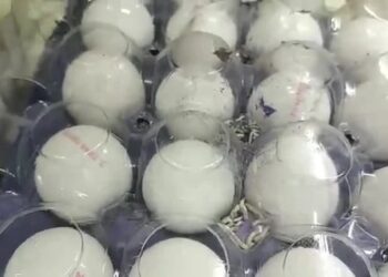 A101’de yumurta skandalı: Görüntüler mide bulandırdı!