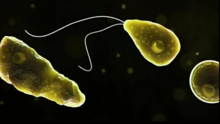 Uzmanlar insanın ‘beynini yiyen’ virüse karşı uyardı: Tehlike çanları çalıyor!