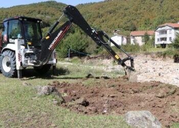 İneğinin ölümüne üzülüp kalp krizi geçirdi