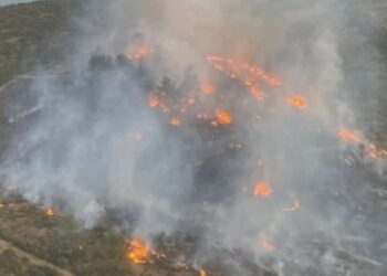 İzmir’de orman yangını