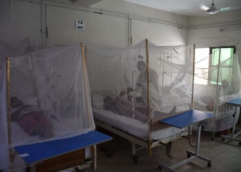 Dang humması kabusu: Son 6 haftada en az 30 kişi öldü