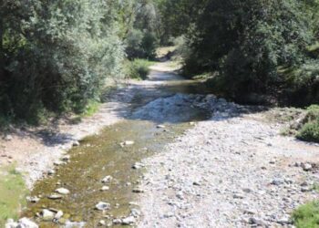 Bolu’da 148 kişi zehirlenmişti: Bakteri izine rastlandı