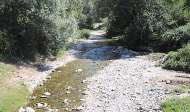 Bolu’da 148 kişi zehirlenmişti: Bakteri izine rastlandı