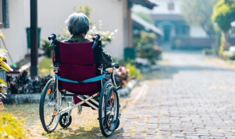 Sayıları artıyor: ‘2030’da 1,5 milyon olması bekleniyor’