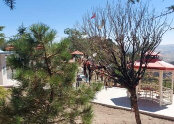 Cemevinin dilek ağacını yakanlar hakkında yeni gelişme