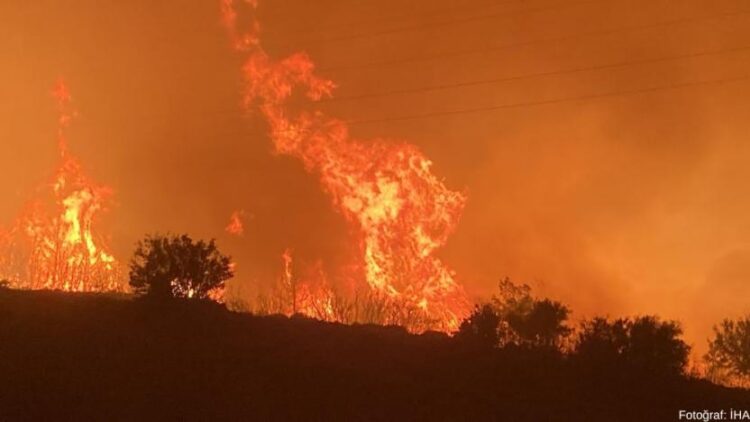 Mersin’de yangın: 110 hane tahliye edildi, karayolu kapatıldı