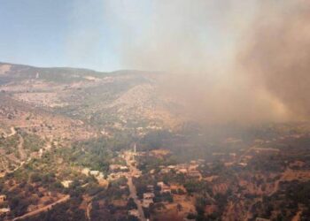 Mersin’deki orman yangını sürüyor: 30 ev boşaltıldı