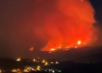 Muğla’da orman yangını