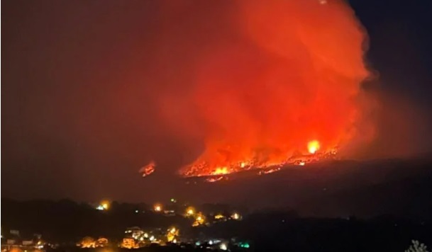 Muğla’da orman yangını