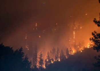 “Mersin’deki yangını kontrol altına alma çalışmaları sürüyor”