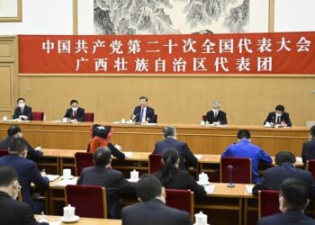Xi: Çin tarzı modernizasyon, Çin’in somut şartlarına uygundur