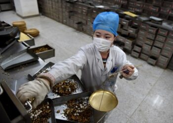 Anhui’de geleneksel Çin tıbbında kullanılan bitkileri yetiştirmek için 10 üs inşa edilecek