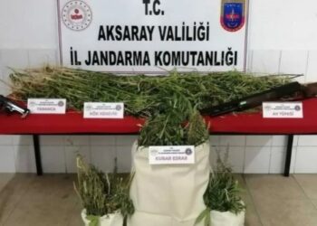 Arazisinde kenevir bulunan AKP’li isme gözaltı
