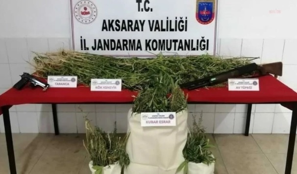 Arazisinde kenevir bulunan AKP’li isme gözaltı