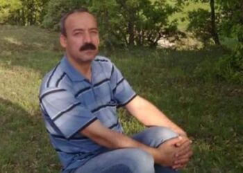 Düşen kovandan çıkan arıların soktuğu arıcı öldü