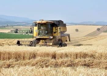 TÜİK açıkladı: Gıdada tehlike çanları çalıyor