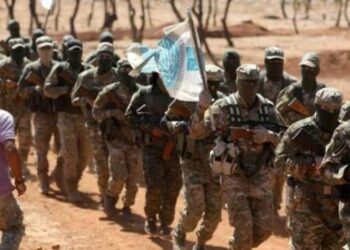 Türkiye’nin HTŞ planı ne? ‘Yaratıcı rezillik’