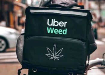 Uber Kanada’da esrar dağıtmaya başladı