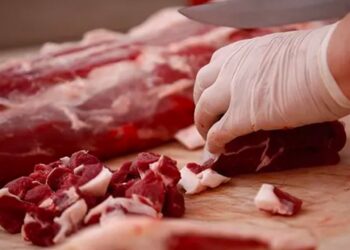 Kırmızı Et Konseyi’nde istifa