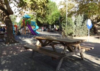 Parkta arkadaşlarıyla oturan kadına silahlı saldırı: Hastanede öldü