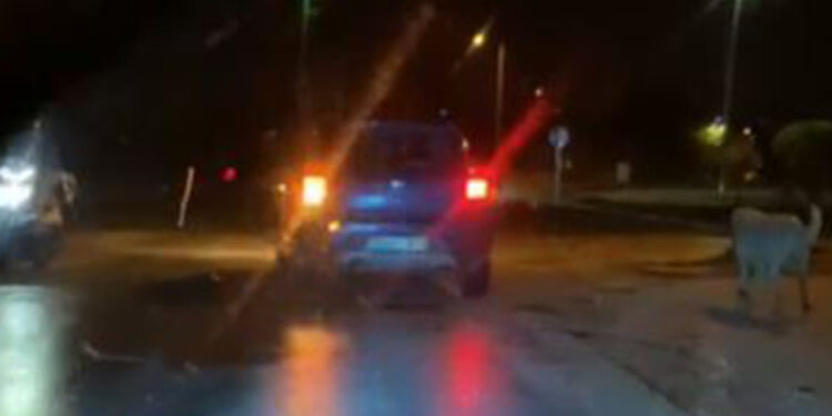 Köpeği iple arabaya bağlayıp sürükledi