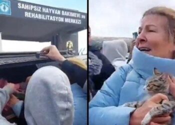 Konya’daki hayvan barınağında yeni skandal