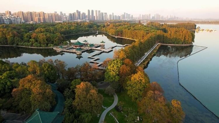 Xi’den sulak alanların korunmasına dair işbirliğini ilerletme çağrısı