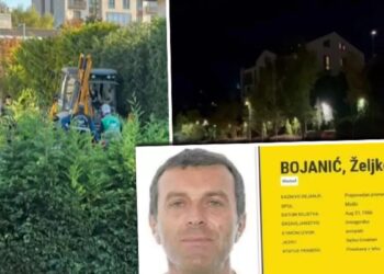 Detaylarıyla anlattı: ‘Sırp mafyasının hesaplaşması İstanbul’da çıbanı patlattı’