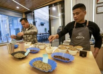 Çin’in Yunnan Eyaleti kahve turizmini teşvik ediyor