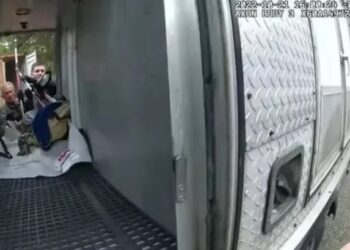 Buzağı ve timsahla uyuyan adam kayboldu