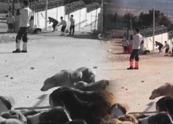 AKP’den Konya’daki vahşete ilişkin ilk açıklama