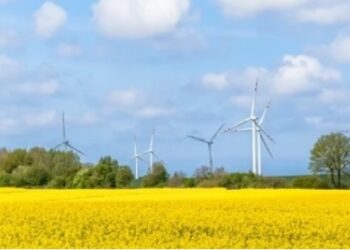 Çin’in yenilenebilir enerji kapasitesi büyümeye devam ediyor