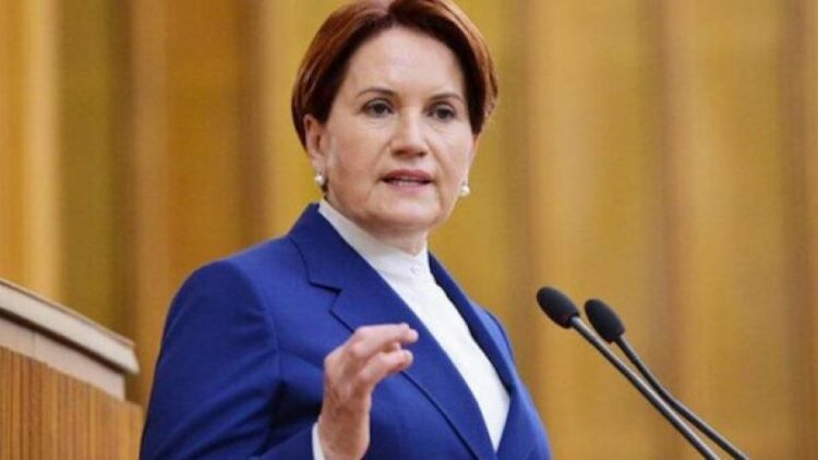 Akşener’in HTS kayıtlarını didik didik etmişler