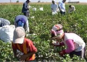 Son 10 yılda 616 çocuk iş cinayetinde hayatını kaybetti