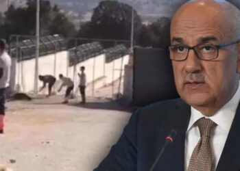 Bakan Kirişci’den köpek katliamıyla ilgili açıklama