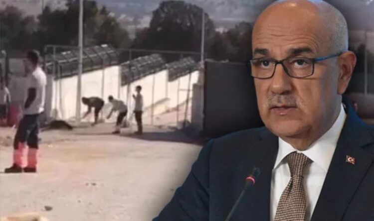 Bakan Kirişci’den köpek katliamıyla ilgili açıklama